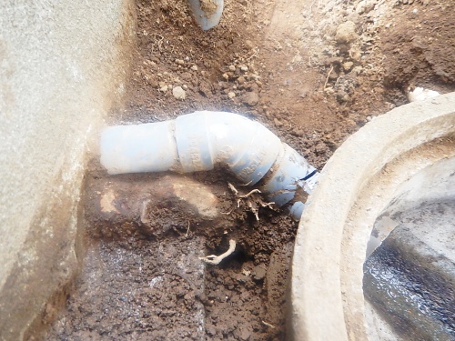 木の根による排水パイプ破損