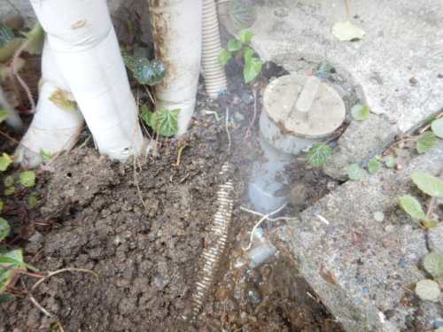 給水管からの漏水
