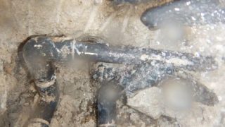 コンクリート下埋設給水管の漏水調査・修理（東京都新宿区早稲田町）
