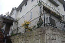 【排水枡】戸建・排水枡取替