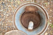 排水管の高圧洗浄で木の根発見！桝交換へ（千葉市緑区あすみが丘）