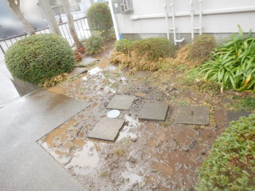 土埋め戻し