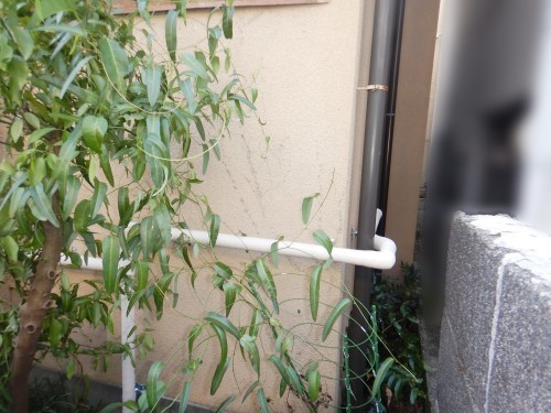 立ち上げて分岐